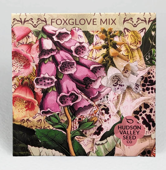 hudson valley foxglove mix seeds seed from flower + furbish Shop now at flower + furbish