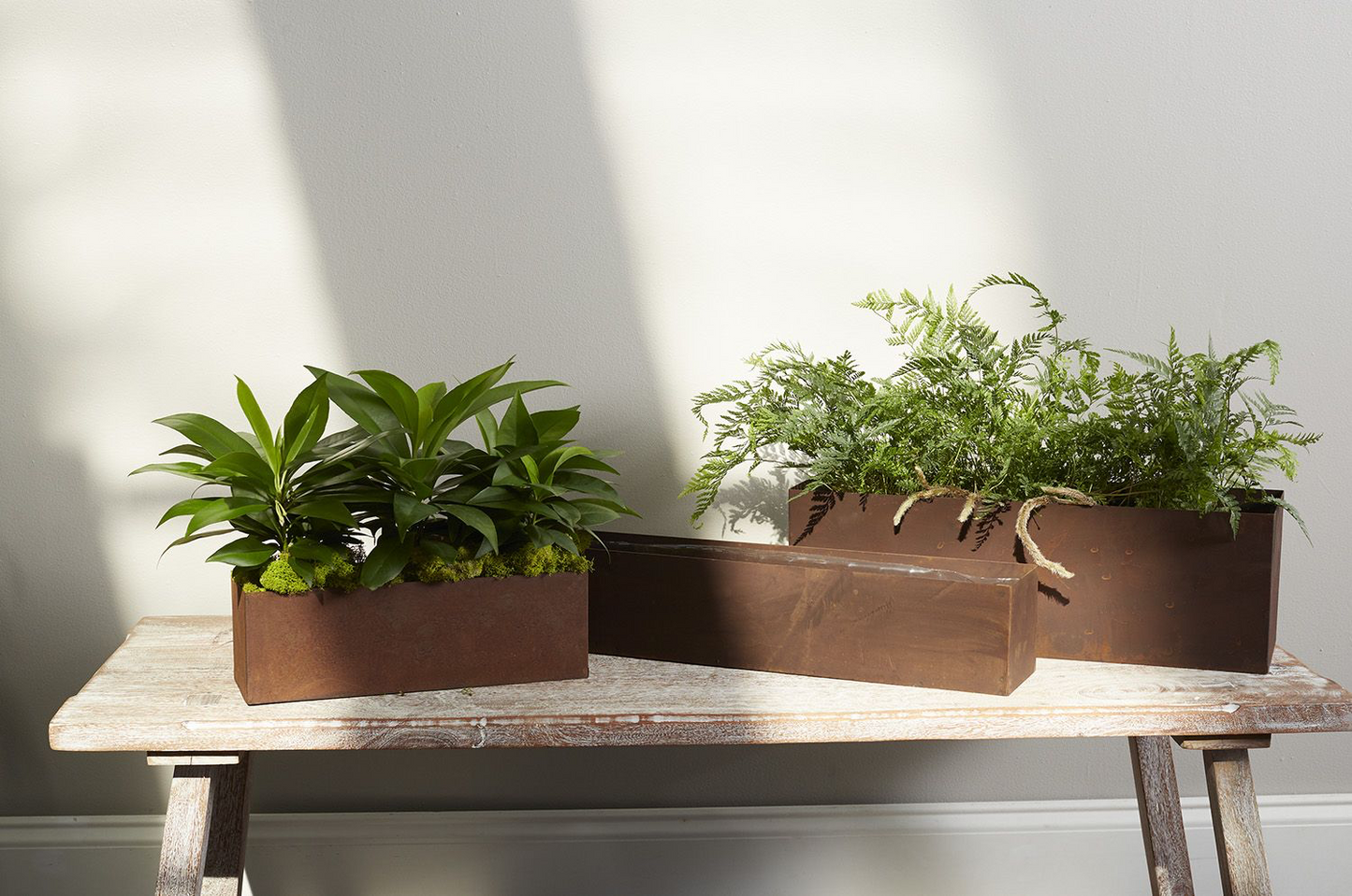 galvanized planter planter from flower + furbish Shop now at flower + furbish