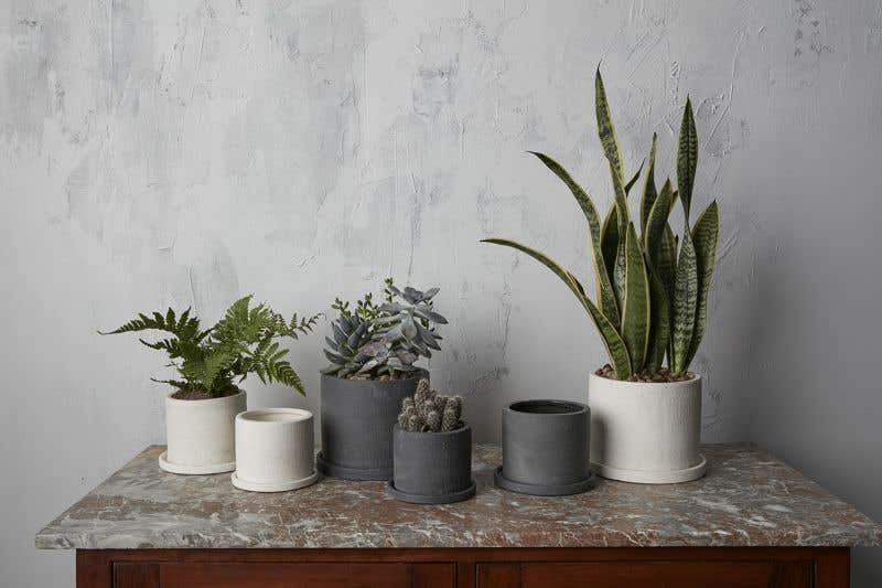 easton pot pot from flower + furbish Shop now at flower + furbish