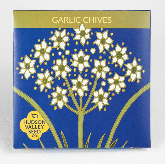 hudson valley garlic chives  seeds seed from flower + furbish Shop now at flower + furbish