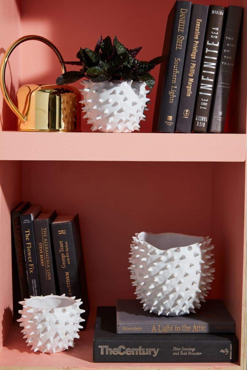 cacti pot plant pot from flower + furbish Shop now at flower + furbish