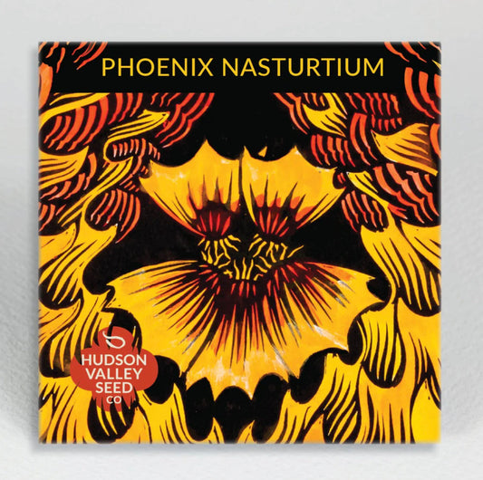 hudson valley phoenix nasturtium seeds seed from flower + furbish Shop now at flower + furbish