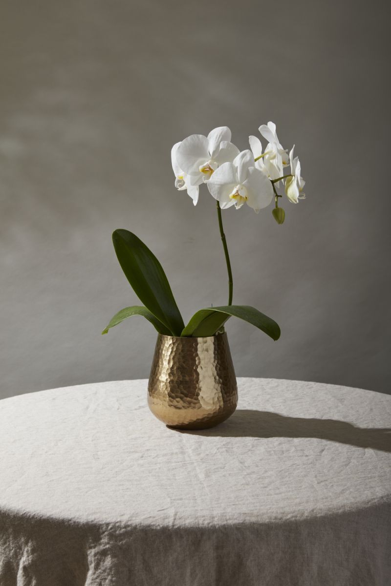 hux pot vase from flower + furbish Shop now at flower + furbish