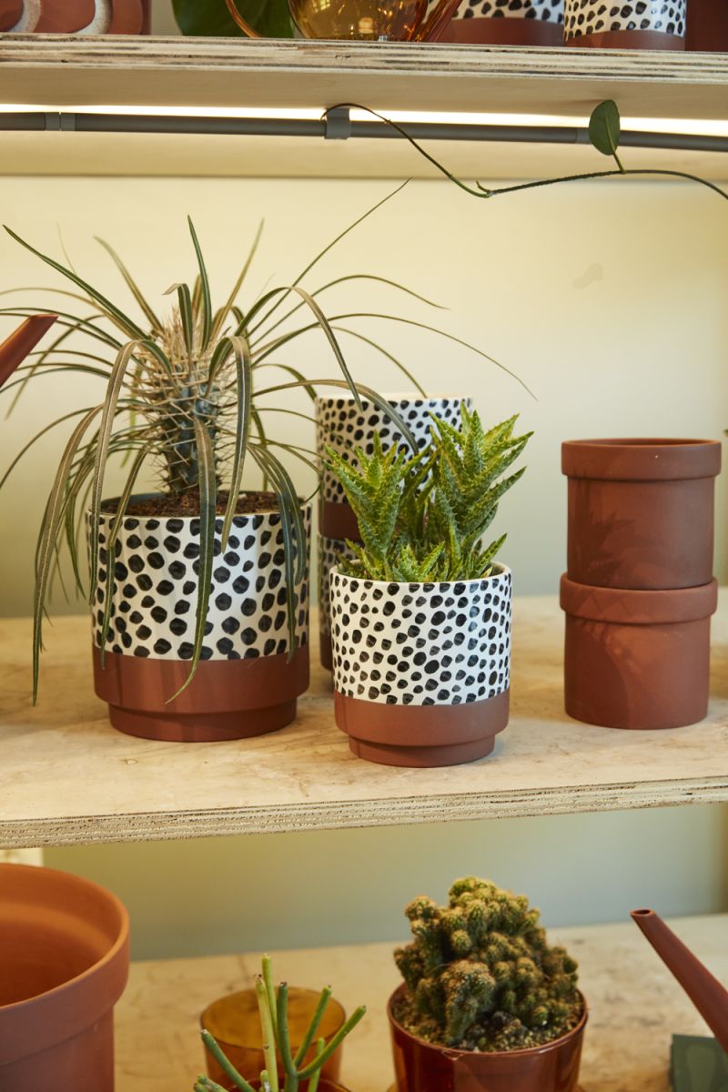 lassen pot plant pot from flower + furbish Shop now at flower + furbish