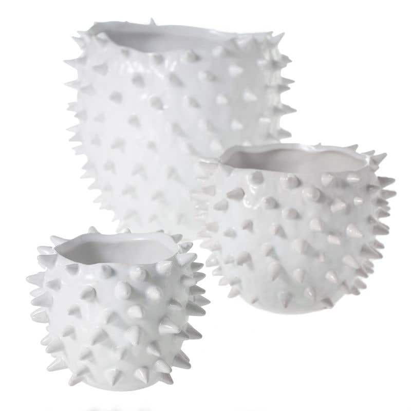 cacti pot plant pot from flower + furbish Shop now at flower + furbish