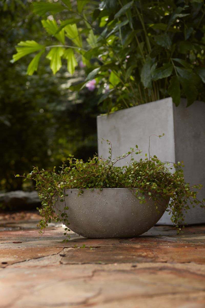 newport boat from flower + furbish Shop now at flower + furbish