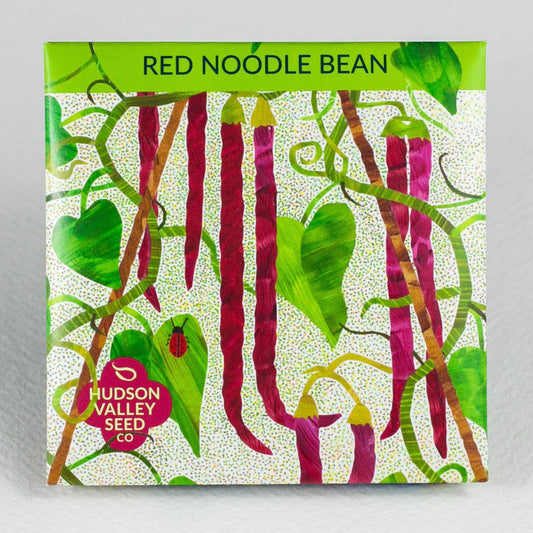 hudson valley red noodle bean seeds seed from flower + furbish Shop now at flower + furbish