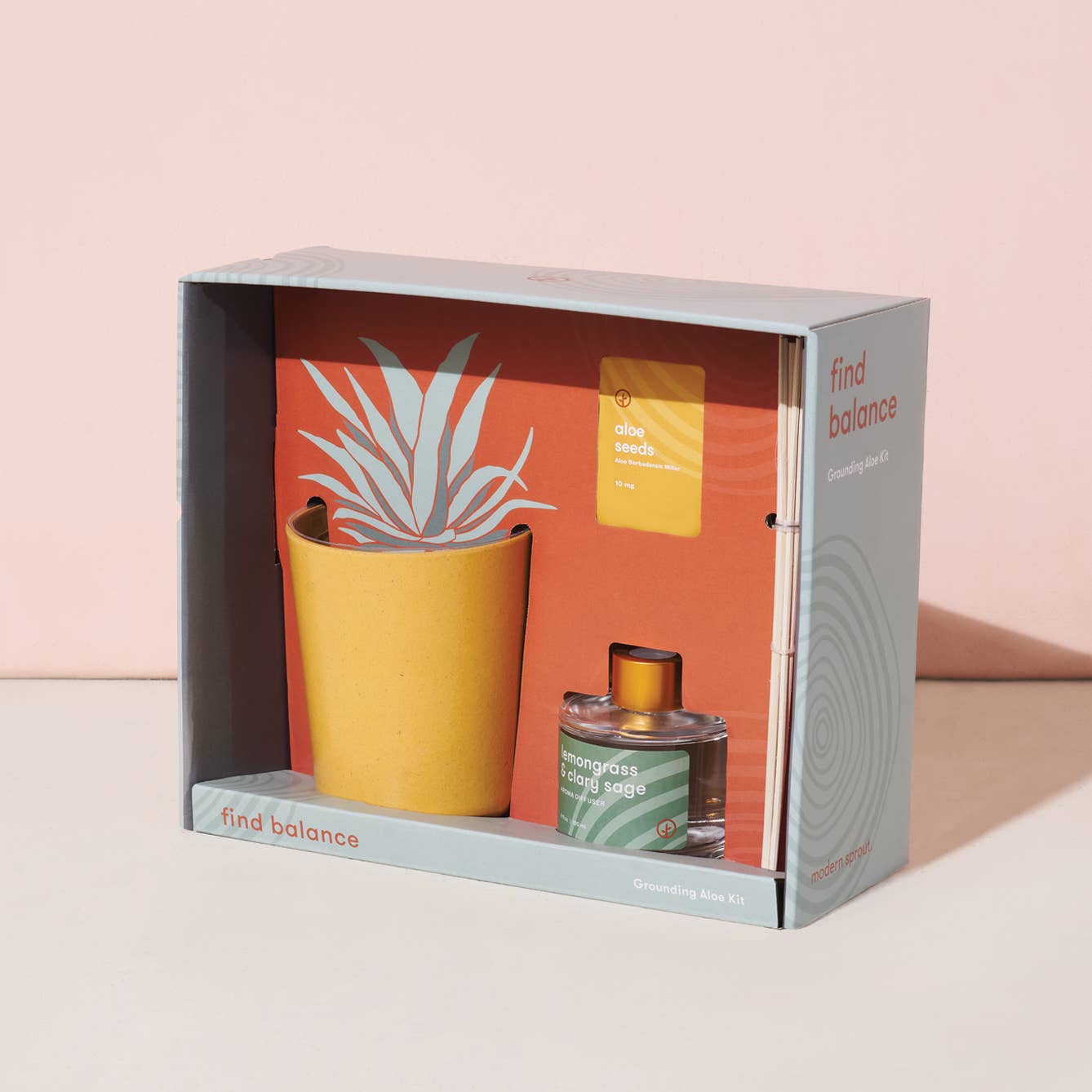 modern sprout grounding aloe kit from flower + furbish Shop now at flower + furbish