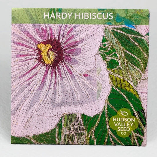 hudson valley hardy hibiscus seeds seed from flower + furbish Shop now at flower + furbish