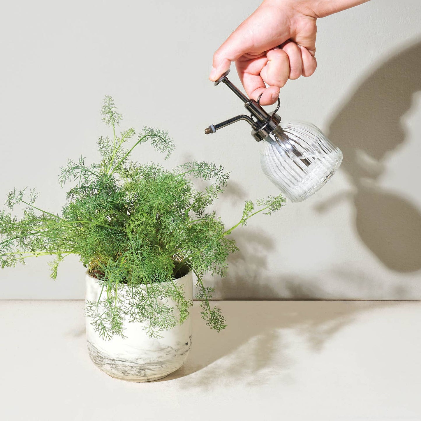 modern sprout glass mister from flower + furbish Shop now at flower + furbish