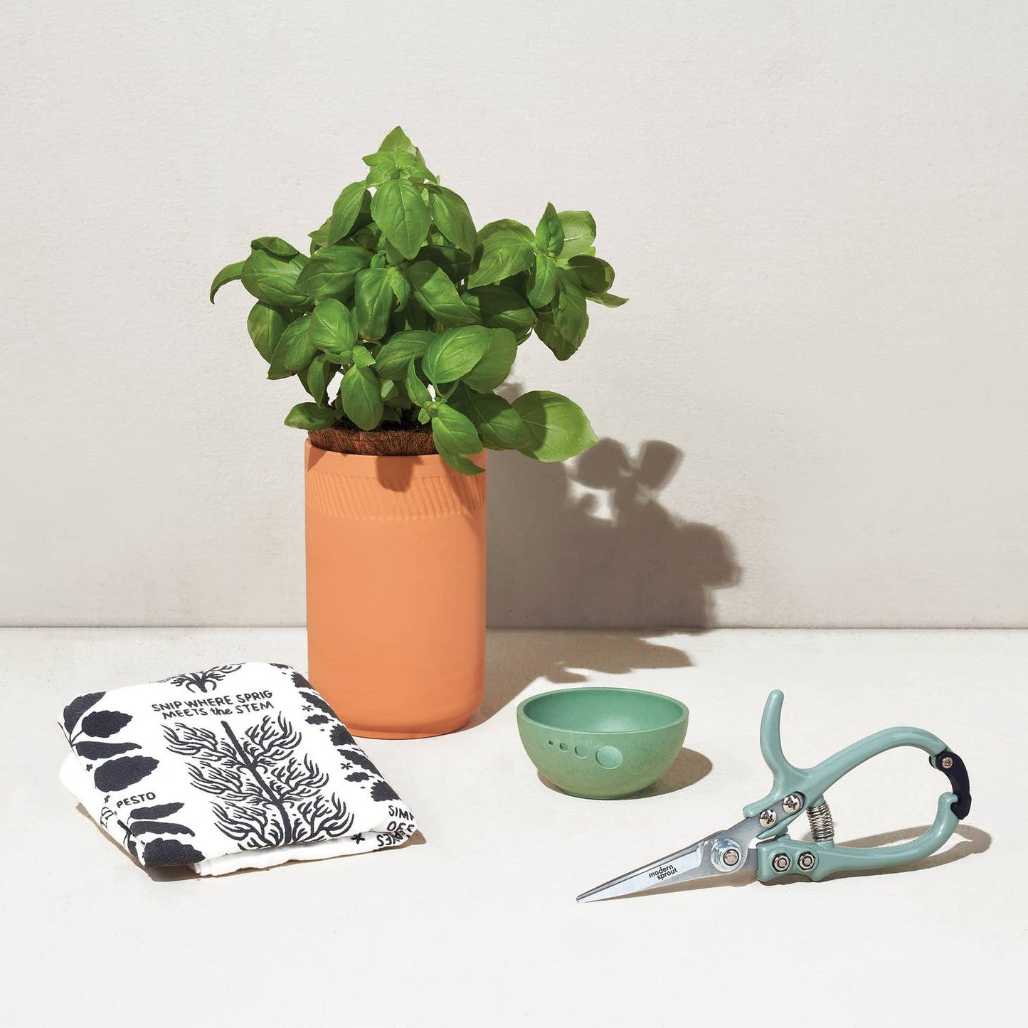 modern sprout growing gourmet botanical gift bundle from flower + furbish Shop now at flower + furbish