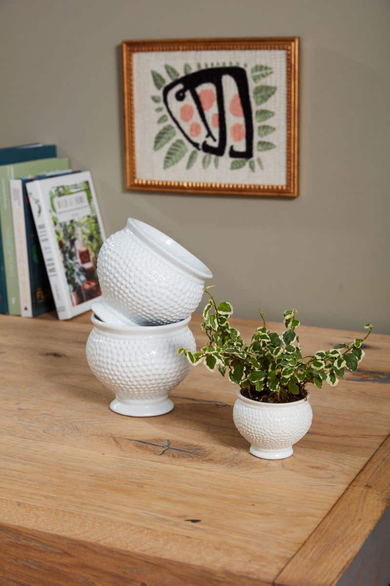 spotti pot plant pot from flower + furbish Shop now at flower + furbish