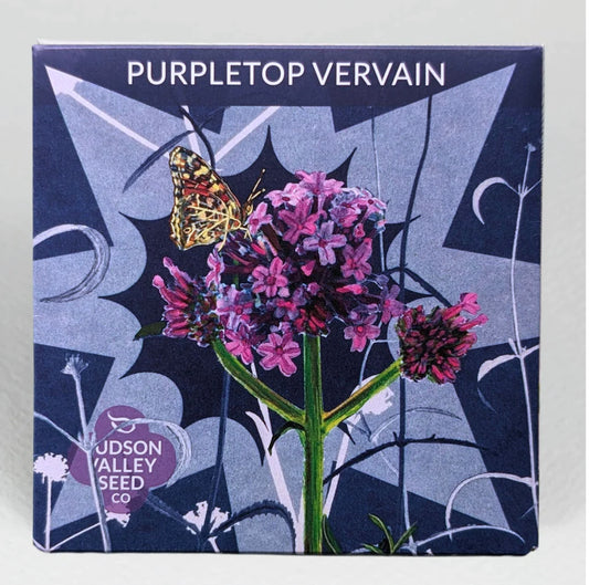 hudson valley purpletop vervain seeds seed from flower + furbish Shop now at flower + furbish