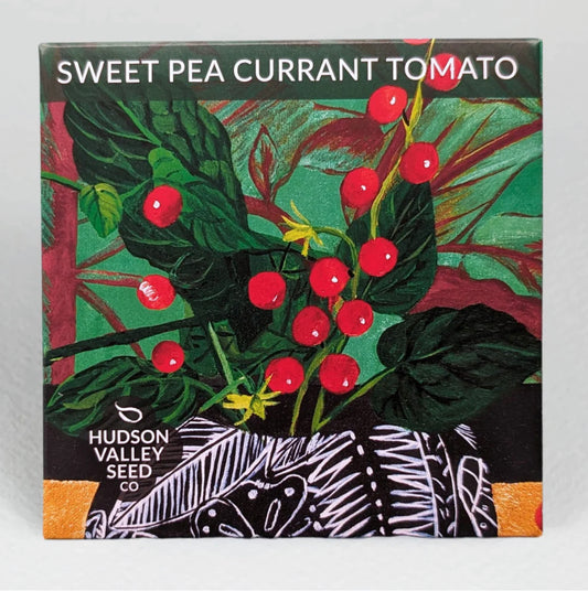 hudson valley sweet pea currant tomato seeds seed from flower + furbish Shop now at flower + furbish