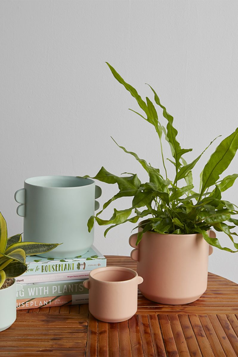 jayme pot pot from flower + furbish Shop now at flower + furbish