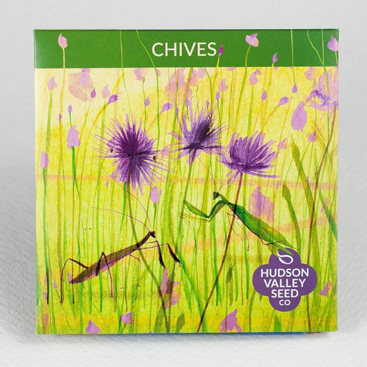 hudson valley chive seeds seed from flower + furbish Shop now at flower + furbish