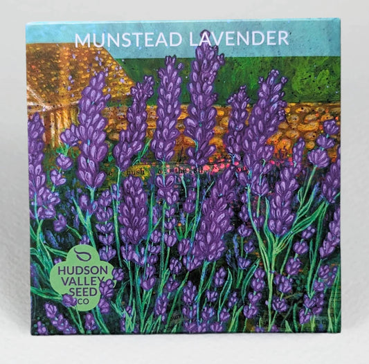 hudson valley munstead lavender seeds seed from flower + furbish Shop now at flower + furbish