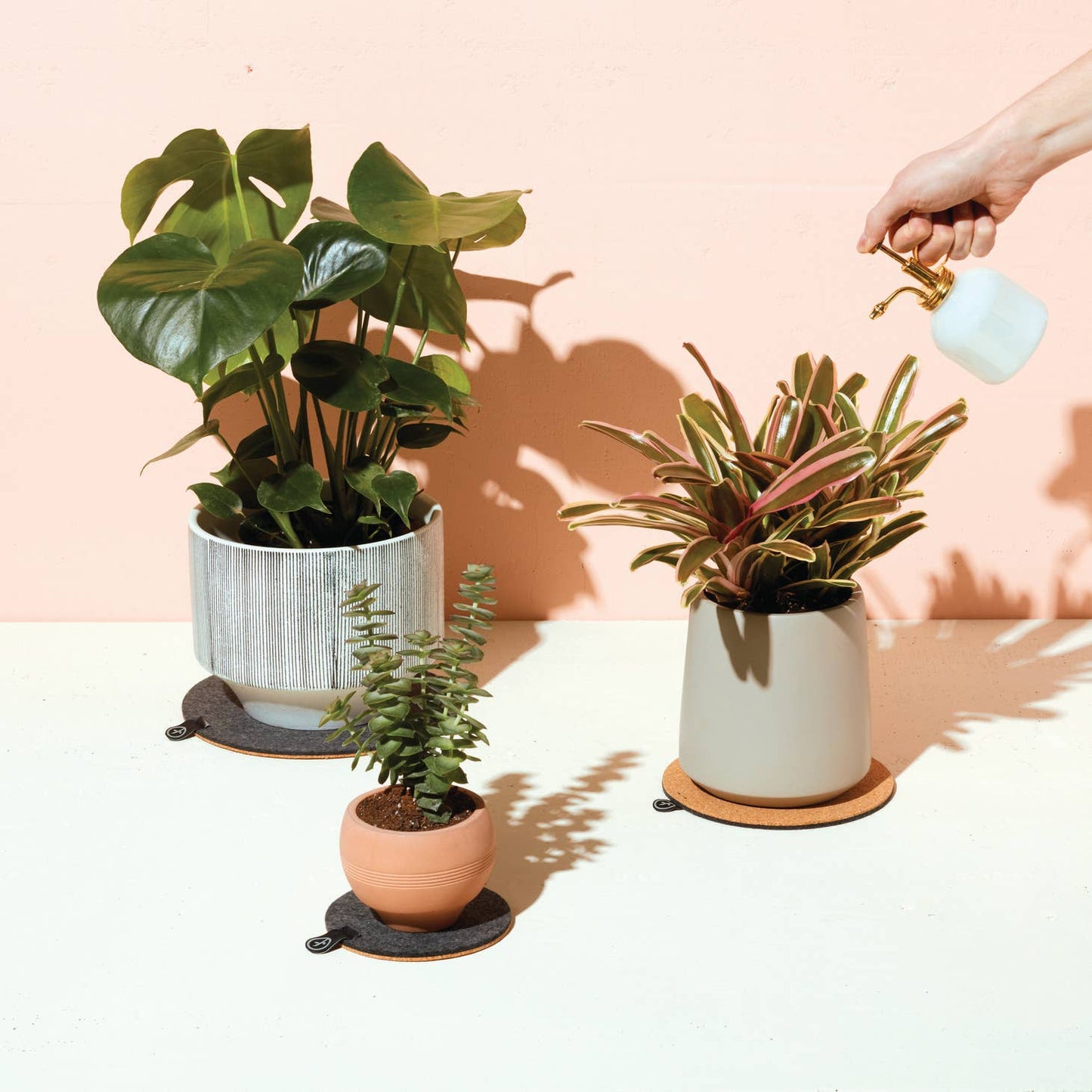 modern sprout plant trivet (set of 3) from flower + furbish Shop now at flower + furbish