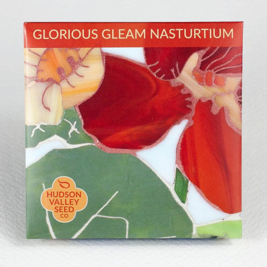 hudson valley glorious gleam nasturtium seeds seed from flower + furbish Shop now at flower + furbish