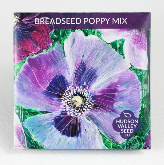 hudson valley breadseed poppy seeds seed from flower + furbish Shop now at flower + furbish
