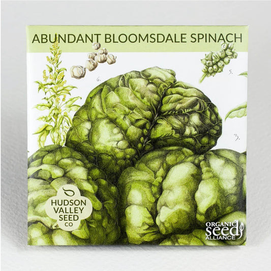 hudson valley bloomsdale spinach seed from flower + furbish Shop now at flower + furbish