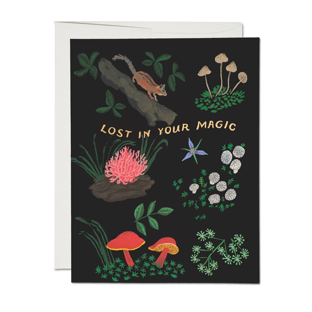 lost in your magic blank card shop now at flower + furbishbirthday, blank card, card, celebration, Gift, shipping, wedding