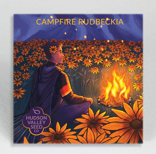 hudson valley campfire rudbeckia seeds seed from flower + furbish Shop now at flower + furbish