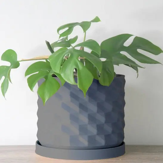 bibliotheque planter planter from flower + furbish Shop now at flower + furbish
