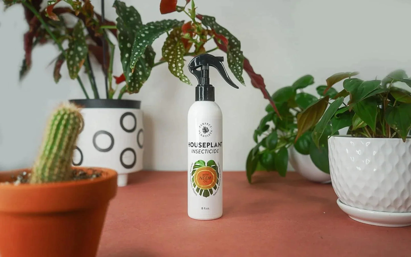 perfect plantista natural houseplant insecticide from flower + furbish Shop now at flower + furbish