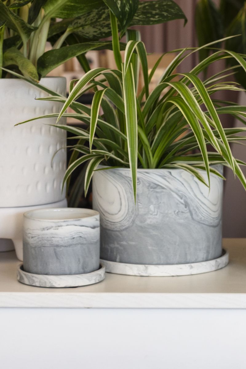 marengo pot plant pot from flower + furbish Shop now at flower + furbish
