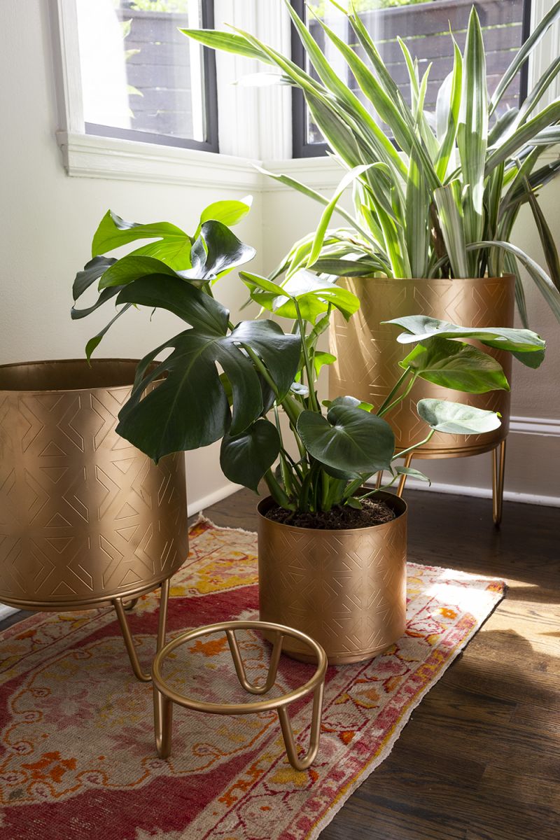 Juneau pot plant pot from flower + furbish Shop now at flower + furbish