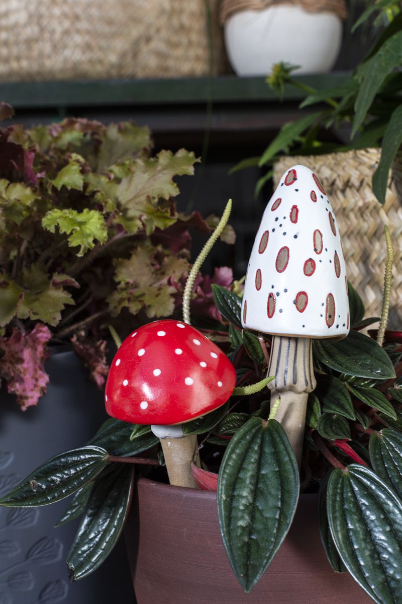 spore plant stick plant stick from flower + furbish Shop now at flower + furbish