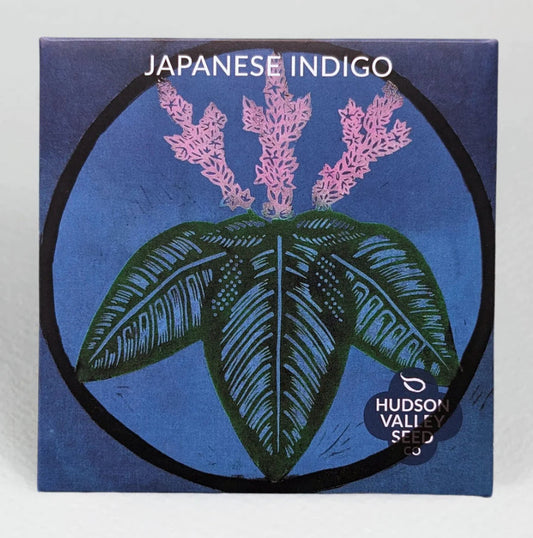 hudson valley japanese indigo seeds seed from flower + furbish Shop now at flower + furbish
