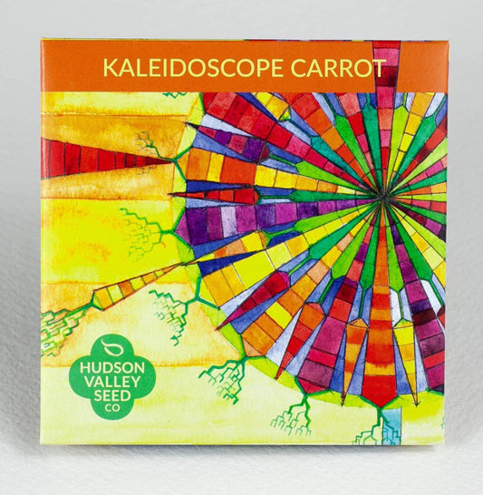 hudson valley kaleidoscope carrot seeds seed from flower + furbish Shop now at flower + furbish