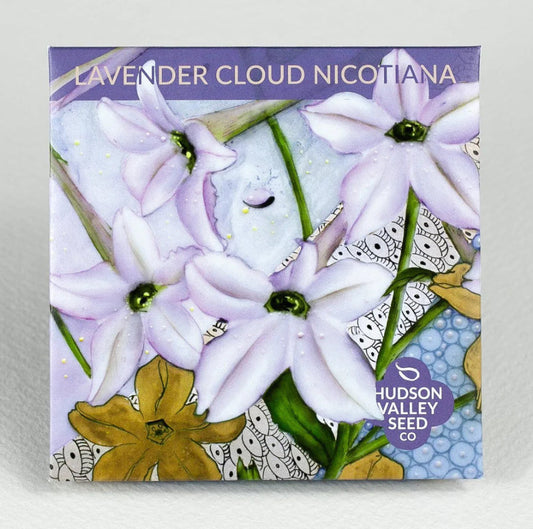 hudson valley lavender cloud nicotiana seeds seed from flower + furbish Shop now at flower + furbish