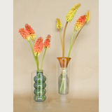 abacus budvase shop now at flower + furbishvase, vessel