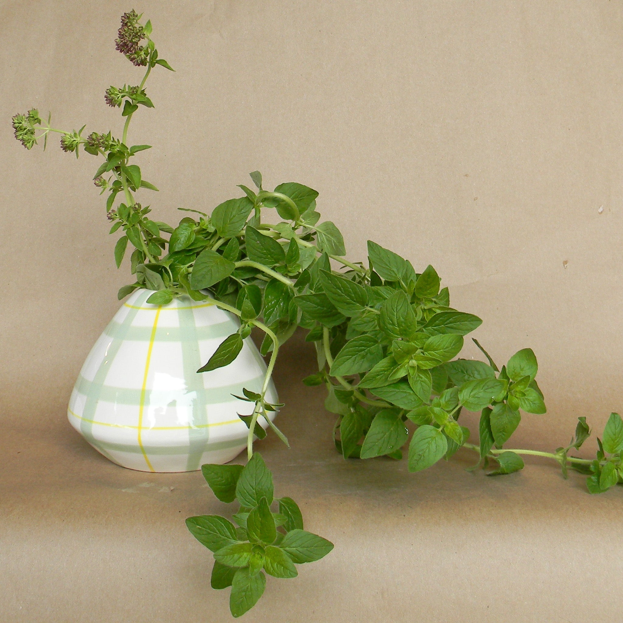 bertie vase shop now at flower + furbish