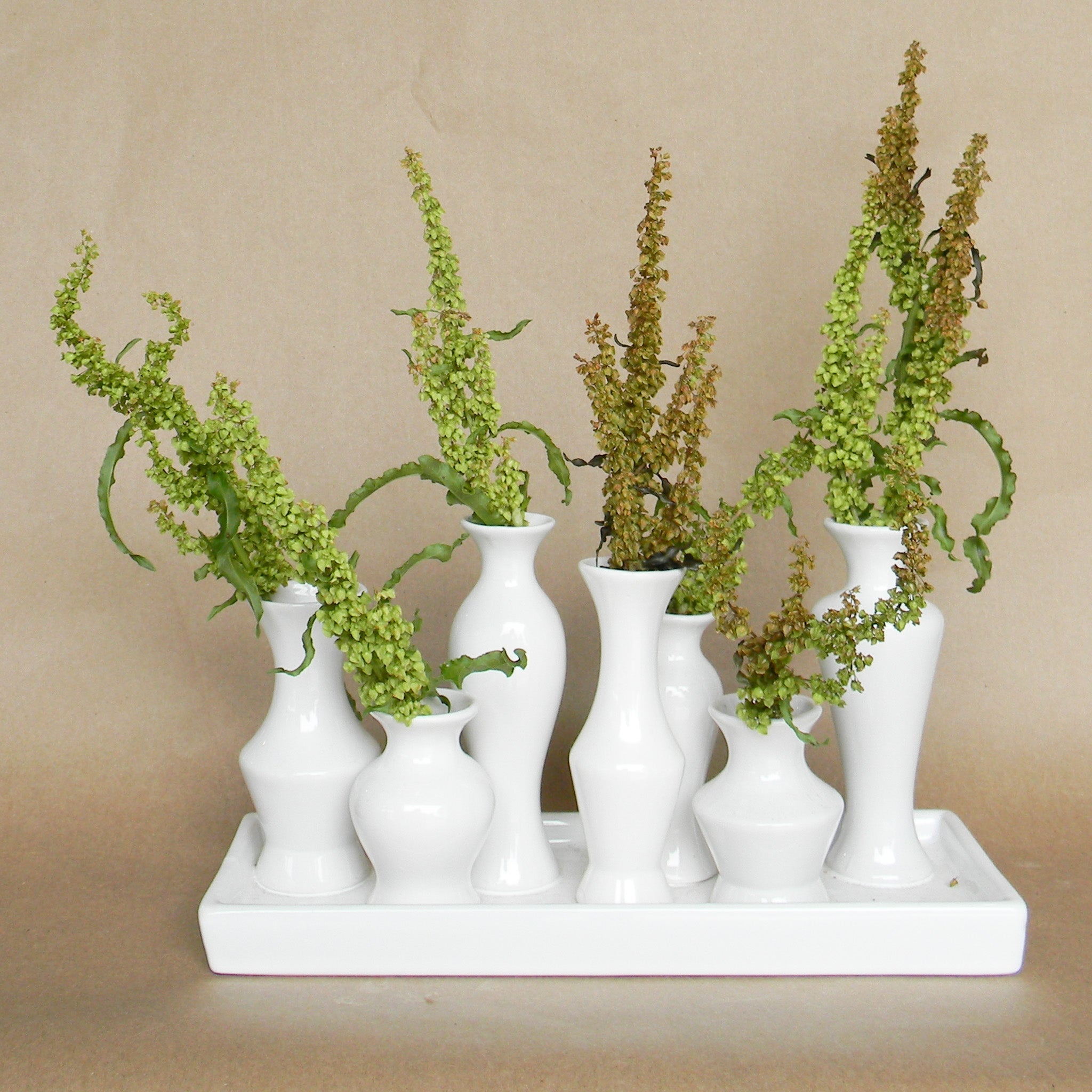 chic budvase shop now at flower + furbishshipping, vase, vessel