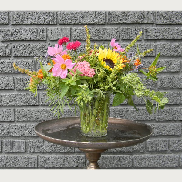 designer’s choice seasonal arrangement shop now at flower + furbishanniversary, birthday, celebration, congrats, congratulations, encouragement, floral arrangement, Flowers, fresh flower, friendship, Get well, Gift, Holiday, just because, love, mom, new baby, Seasonal, sympathy, thank you, vase, vased arrangement