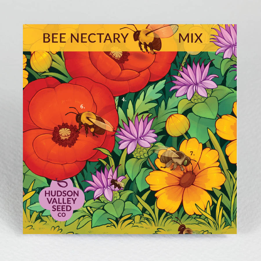 hudson valley bee nectary mix seeds shop now at flower + furbishgarden, seed, shipping