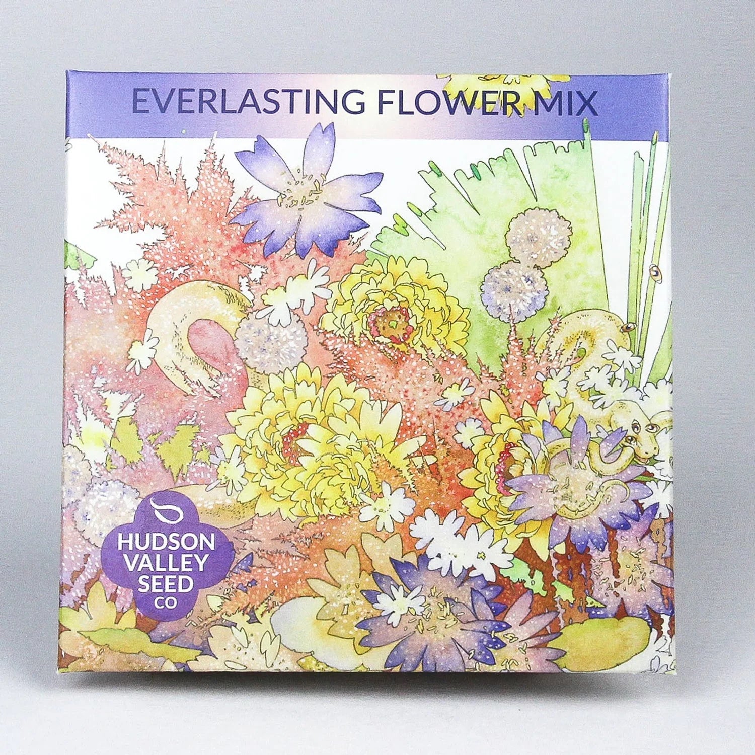 hudson valley everlasting flower mix seeds shop now at flower + furbishgarden, seed, shipping
