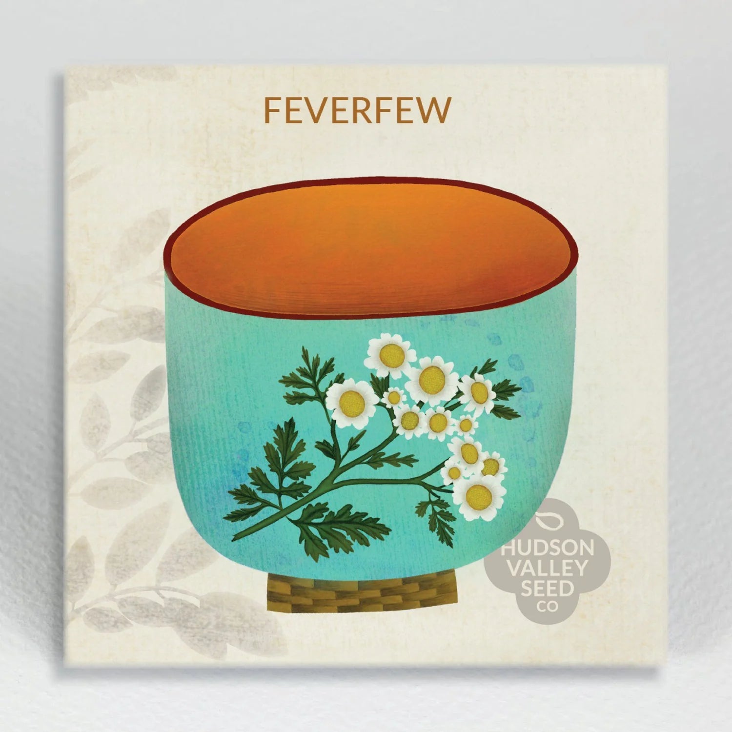 hudson valley feverfew seeds shop now at flower + furbishgarden, seed, shipping