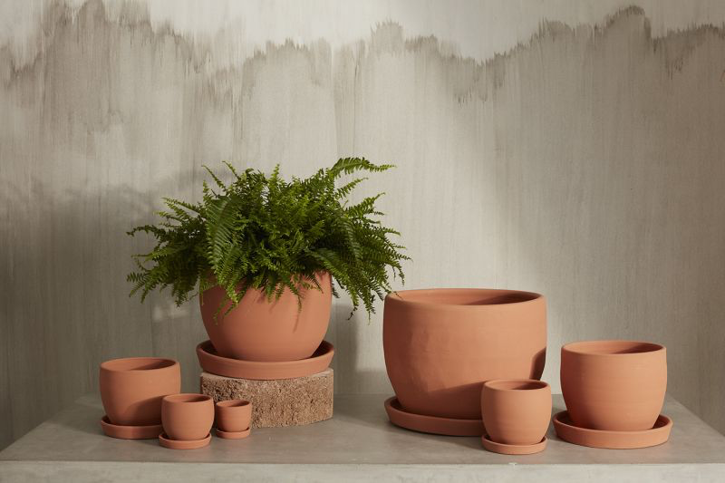 baden pot pot from flower + furbish Shop now at flower + furbish