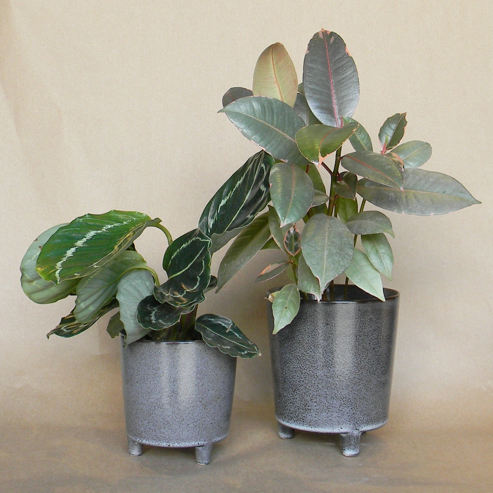 malcolm footed pot shop now at flower + furbish1 inch, 2 inch, 3 inch, 4 inch