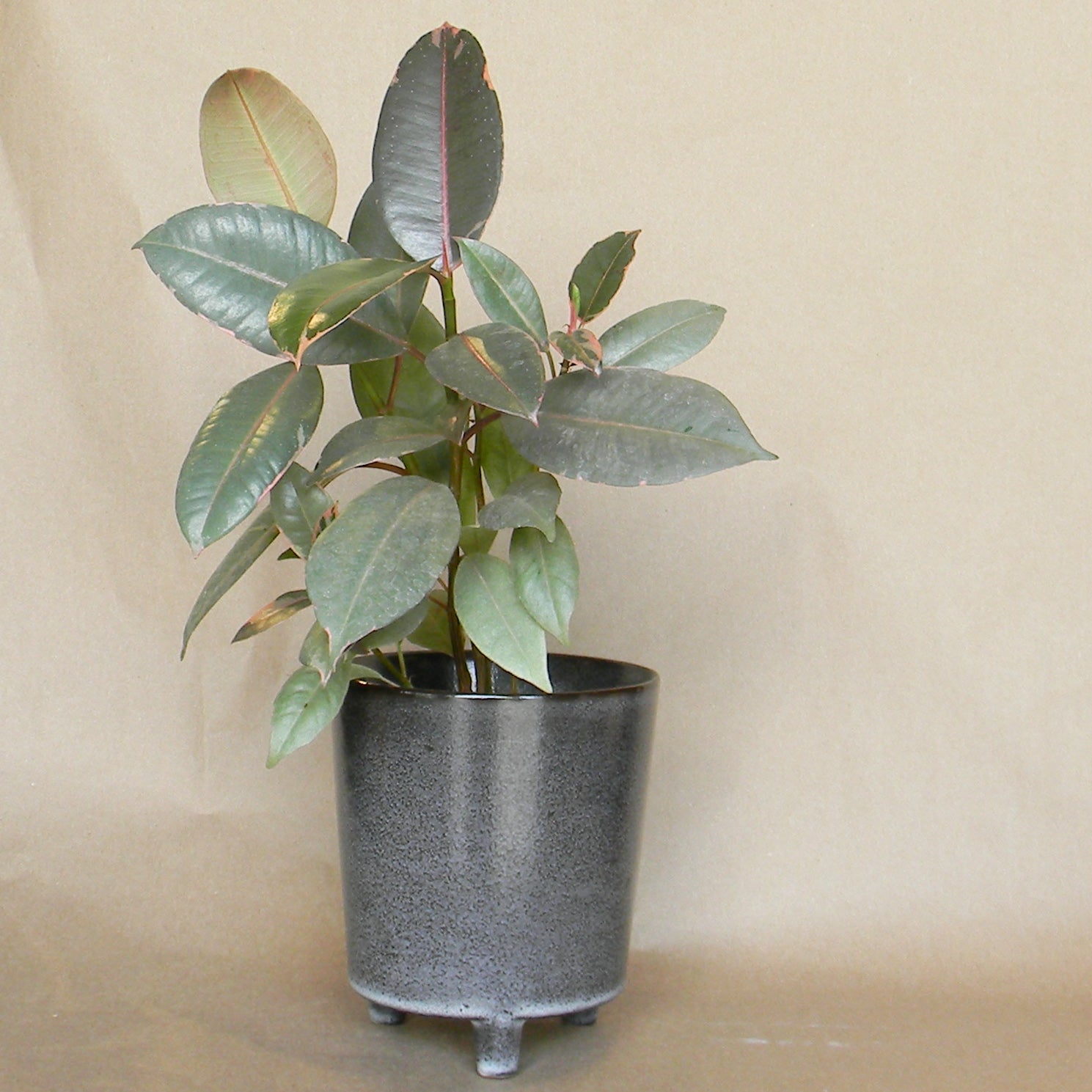 malcolm footed pot shop now at flower + furbish1 inch, 2 inch, 3 inch, 4 inch
