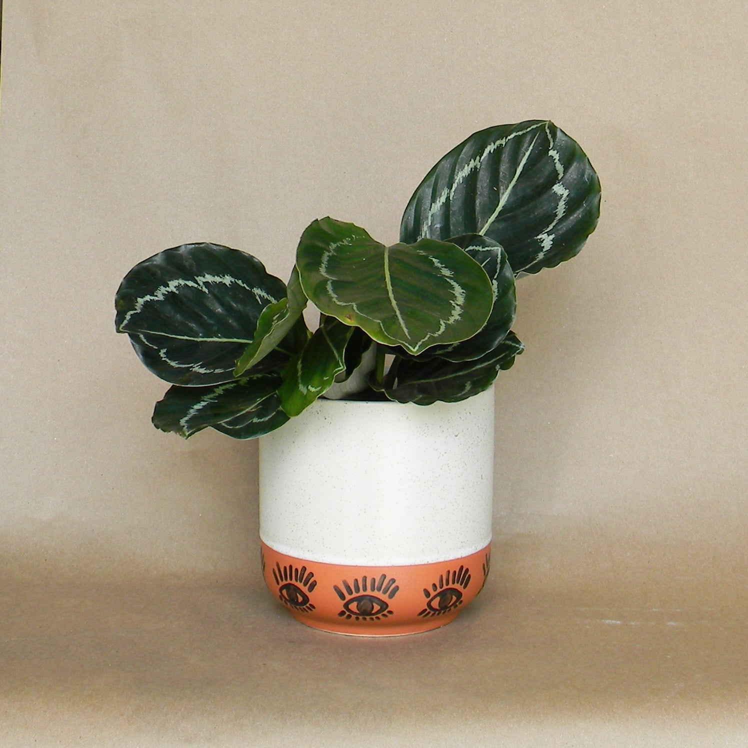 ojo pot shop now at flower + furbishshipping