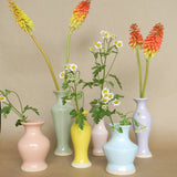 chasing rainbows budvase shop now at flower + furbishGift, plant pot, Planter, Pot, shipping