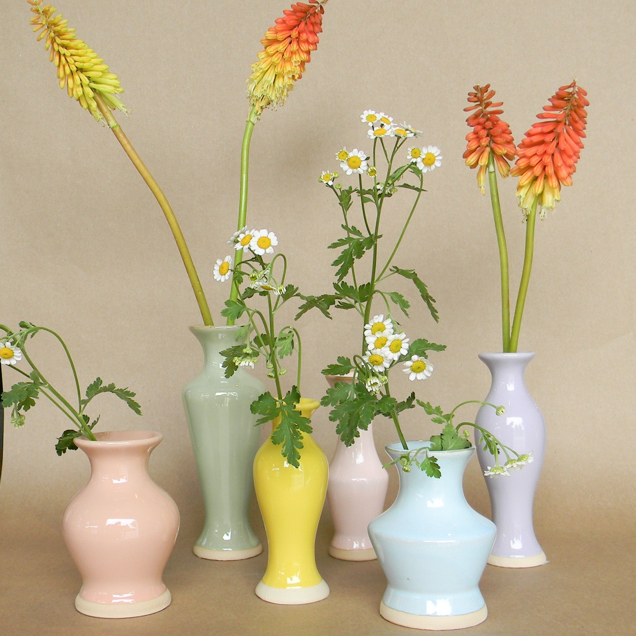 chasing rainbows budvase shop now at flower + furbishGift, plant pot, Planter, Pot, shipping