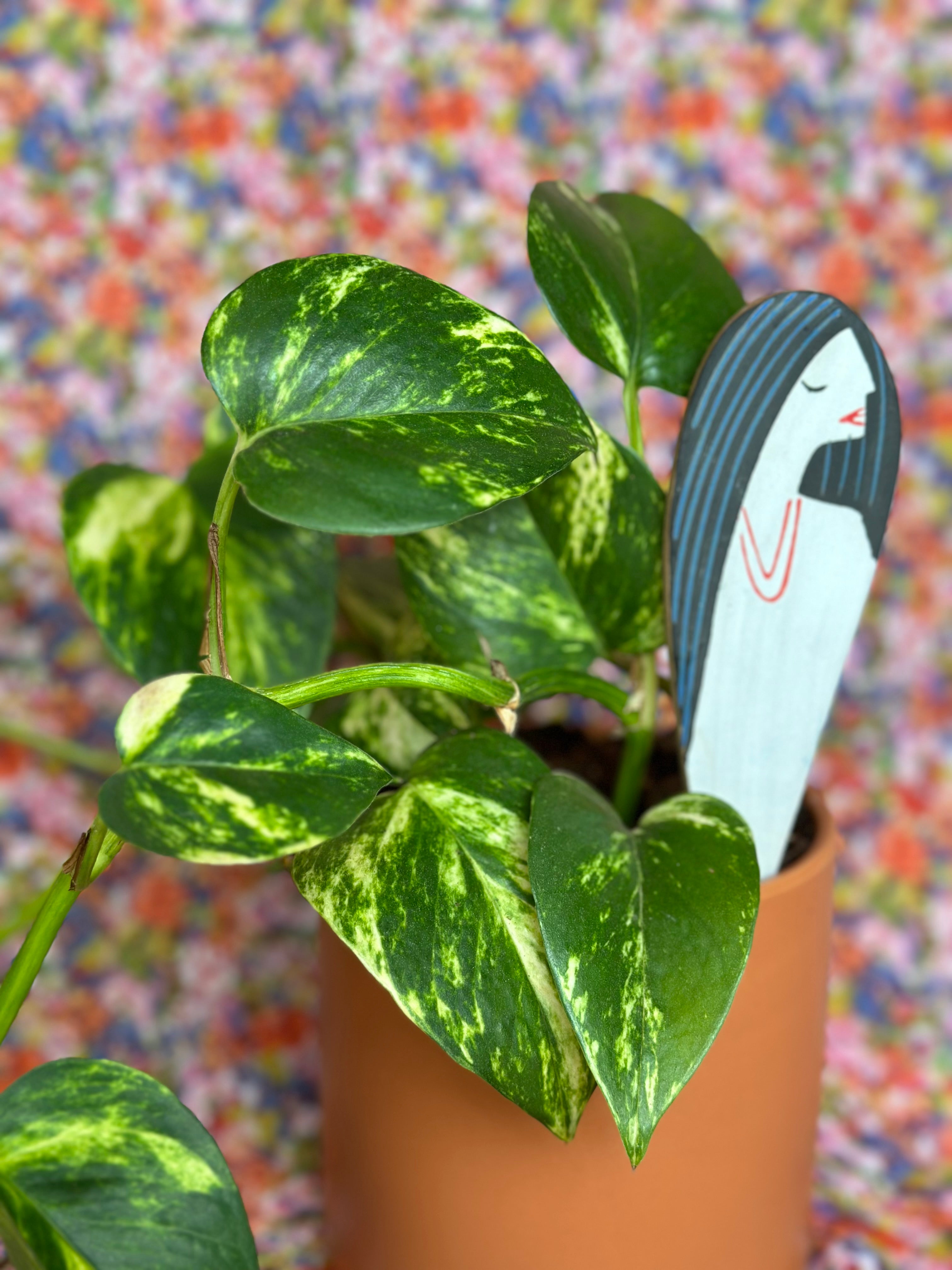 be you plant stick plant stick from flower + furbish Shop now at flower + furbish