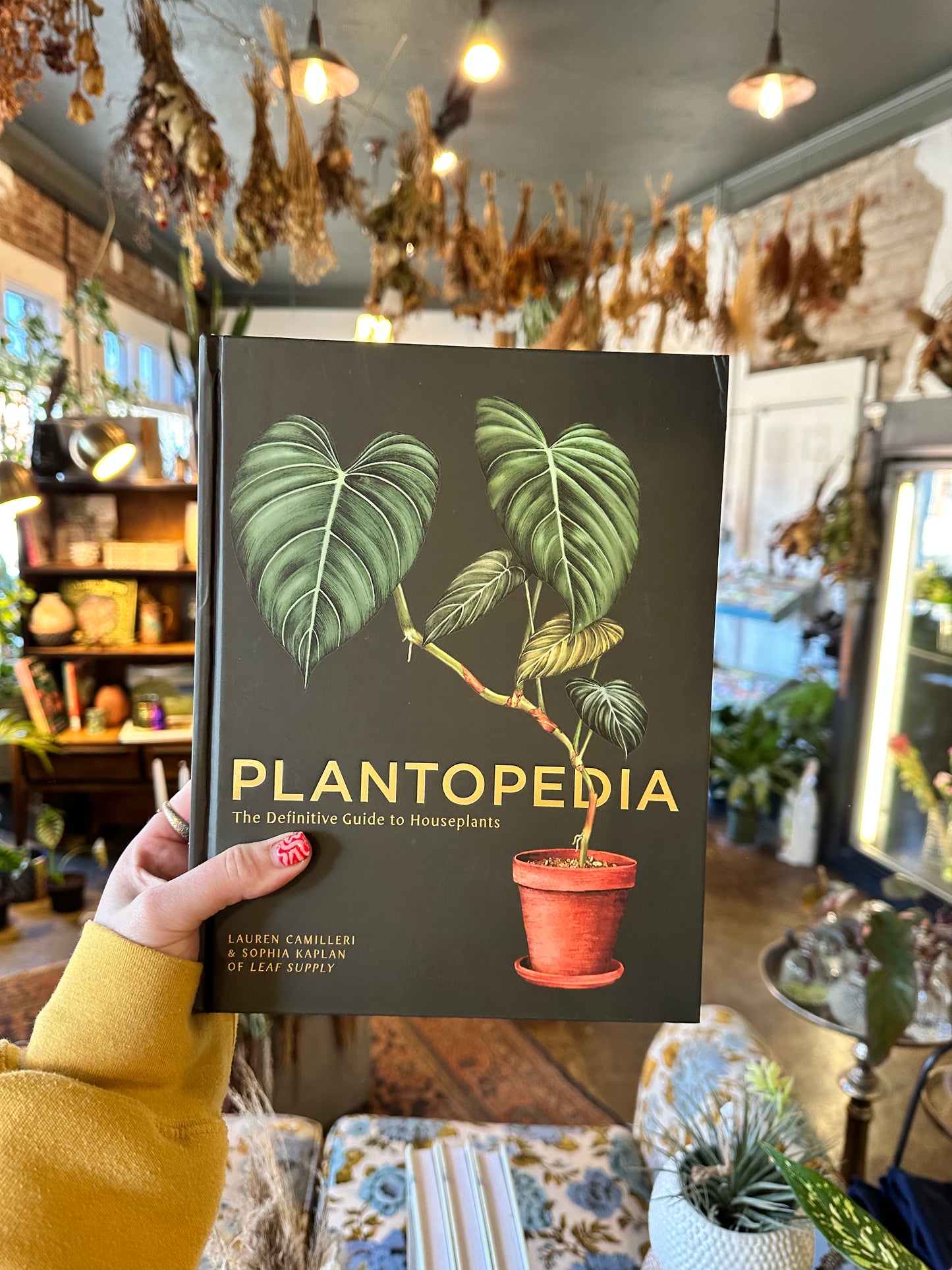 plantopedia: the definitive guide to houseplants  from flower + furbish Shop now at flower + furbish
